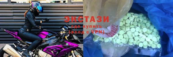 стаф Вязьма