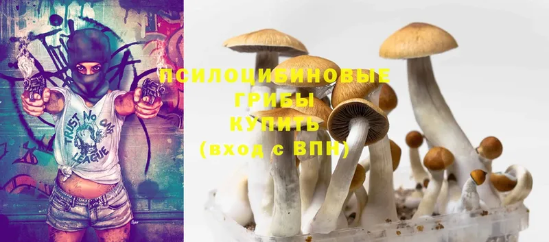 Галлюциногенные грибы Psilocybe  Асбест 